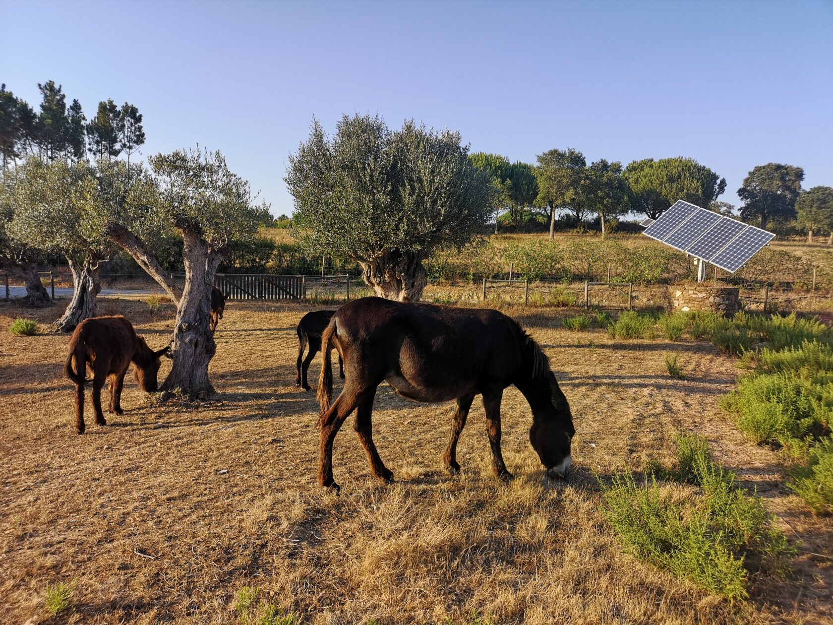 Déclaration de principe de la SSES Delphine Klopfenstein Broggini